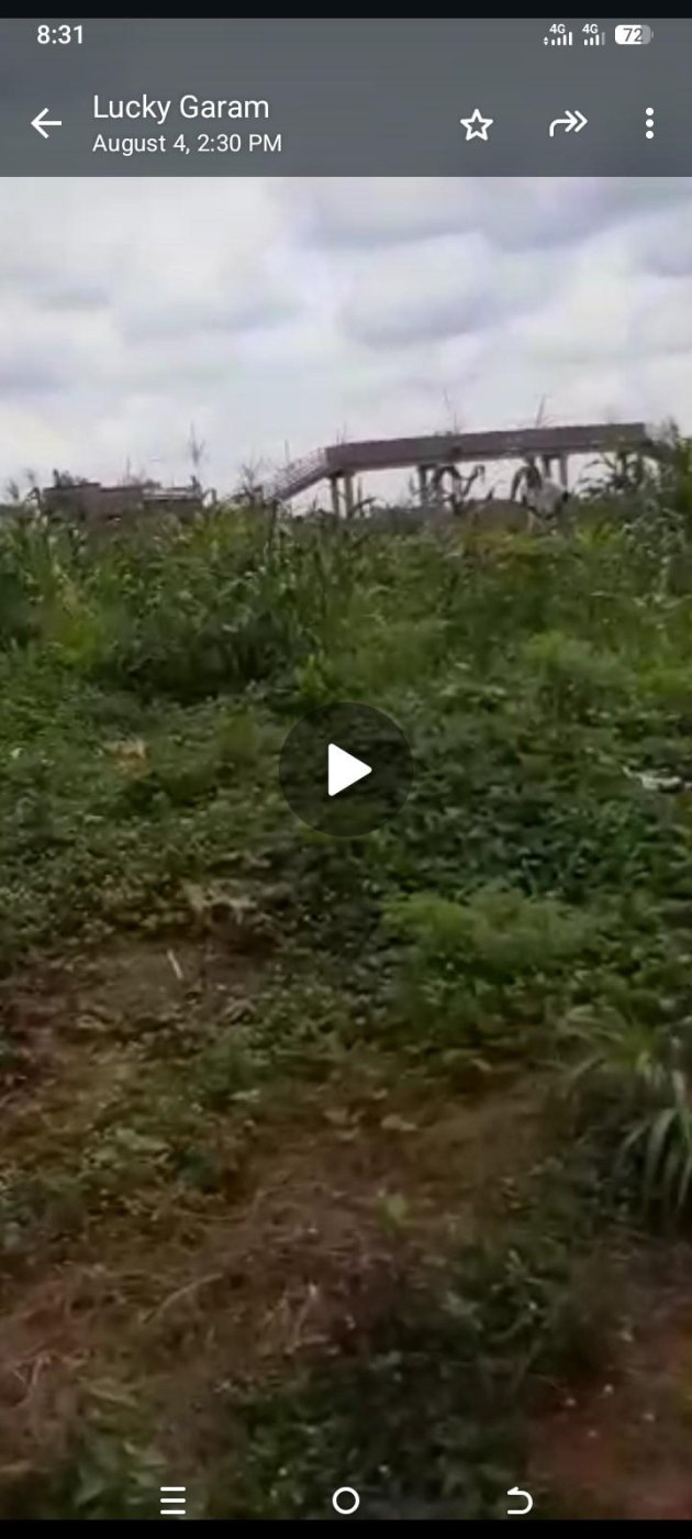 100 by 50ft Land